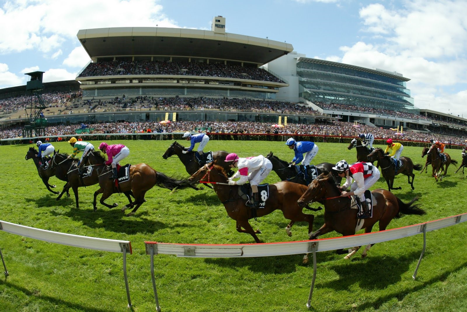 top-5-horse-racing-events-across-australia-panda-sweepspanda-sweeps