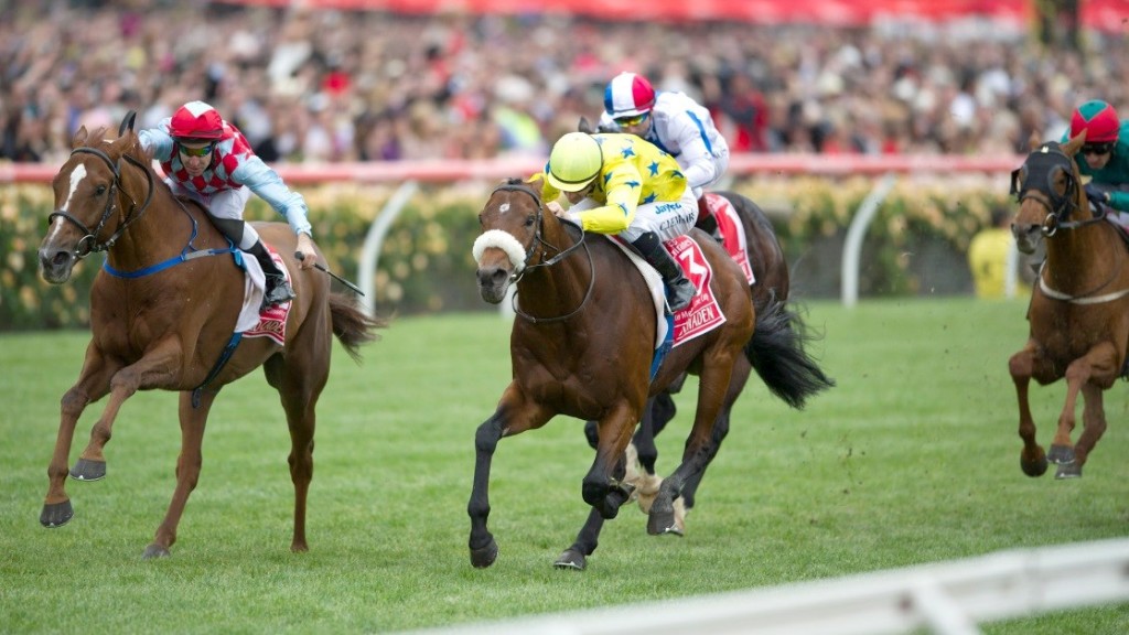Dunaden (yellow jersey) defeated Red Cadeauz (red) in the closest finish in Melbourne Cup’s history back in 2011