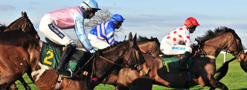 Grand National Aintree 2014