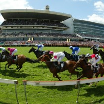 melbournecup